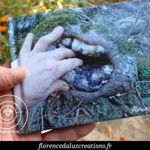 Livre "Images de pierre, Images de rêve" Florence Daluz